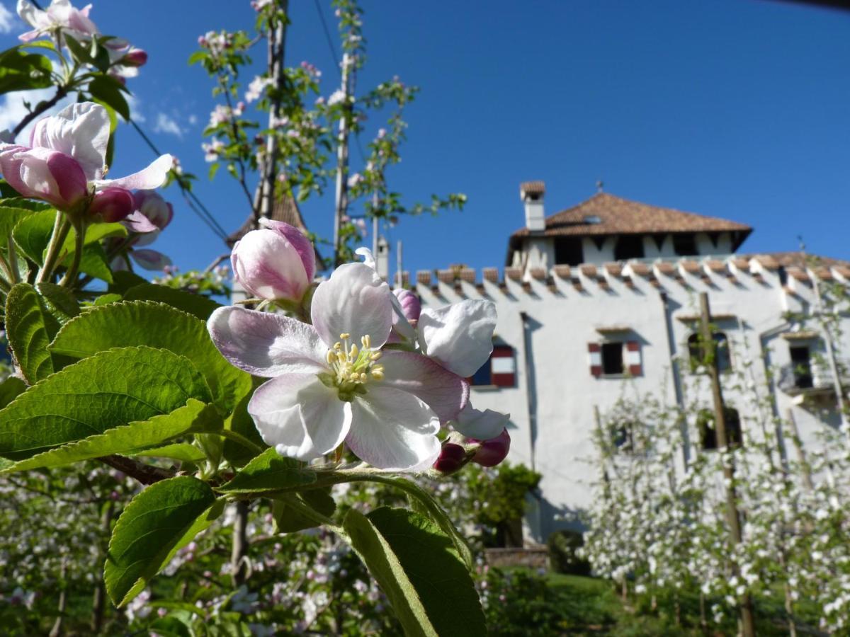 Apartments Schloss Paschbach Appiano Sulla Strada Del Vino Exterior foto