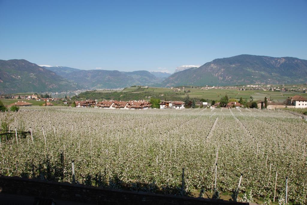Apartments Schloss Paschbach Appiano Sulla Strada Del Vino Exterior foto